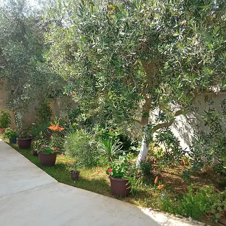 Ruza In A Quiet Location Near The Forest